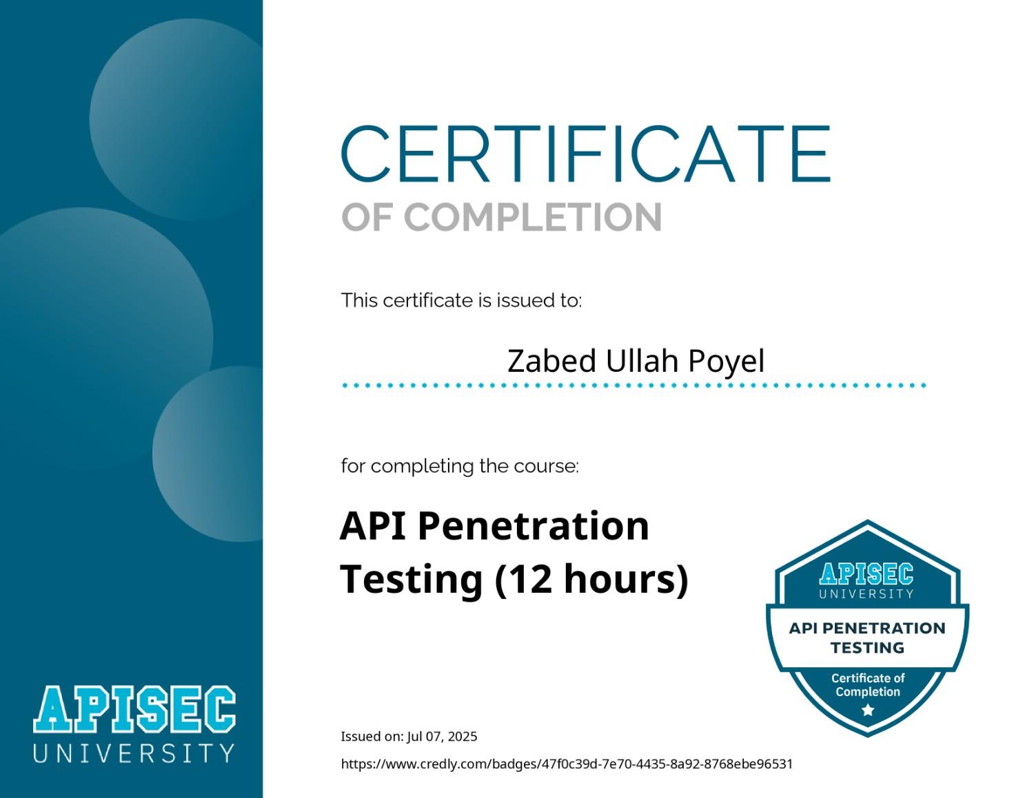 API Penetration Testing